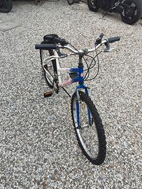 Bicicletta e monopattino 