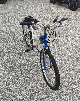 Bicicletta e monopattino 