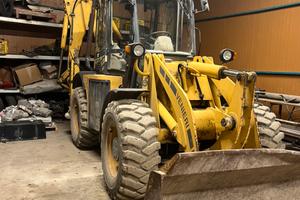 Pala gommata venieri