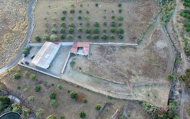 Capannone e terreno circostante