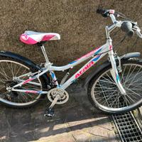 Bicicletta Atala Butterfly 24