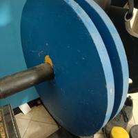 dischi 20 kg foro 50mm verniciati