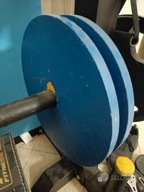 dischi 20 kg foro 50mm verniciati