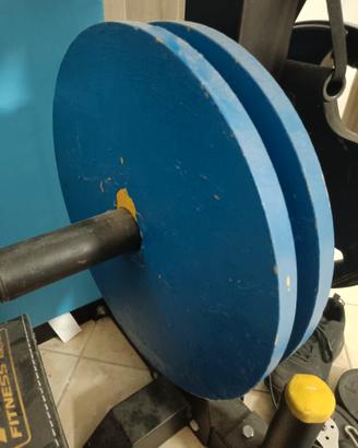 dischi 20 kg foro 50mm verniciati