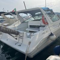 Sea Ray 310 Diesel