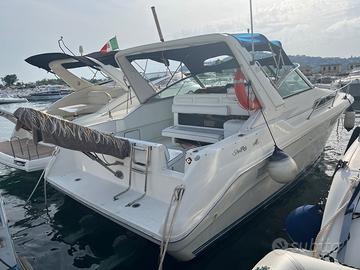 Sea Ray 310 Diesel