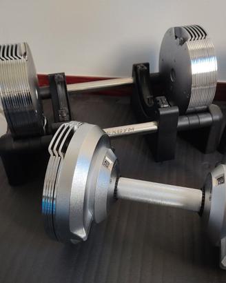 Coppia manubri regolabili 32,5 kg – Home gym