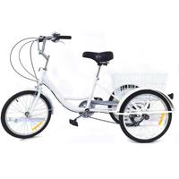 Bicicletta tre ruote con cesta