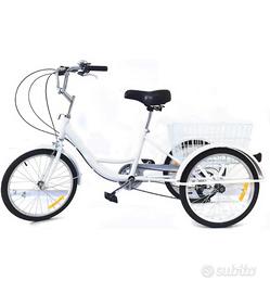 Bicicletta tre ruote con cesta