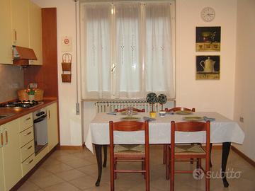 La mimosa cin:it017156c2cydu3uxn