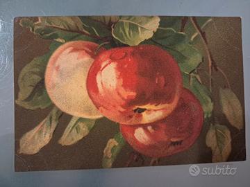 Cartolina postale del '900