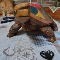 tartaruga in legno massiccio 53x30
