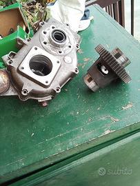 Carter Diff e ingranaggi Ape 50