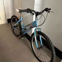 Mountain bike Phoenix cerchi 24