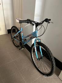 Mountain bike Phoenix cerchi 24