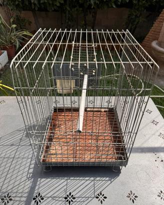 Gabbia Zincata 43x41