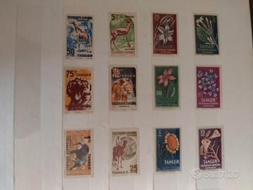 collezione di francobolli