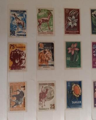 collezione di francobolli