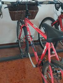 mountain bike a 50 euro