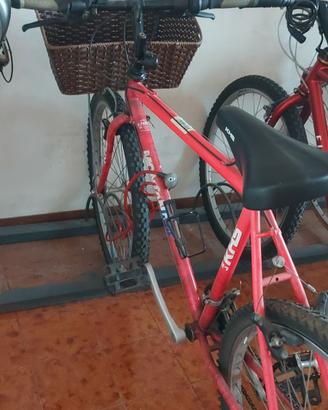 mountain bike a 50 euro
