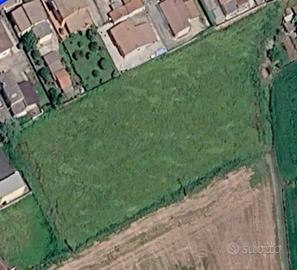 Terreno di 7000 m² a Casaleone