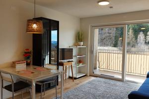 Nuovo bilocale con terrazza a Trodena