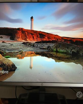 MONITOR HP 24