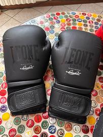 Guantoni box e para colpi