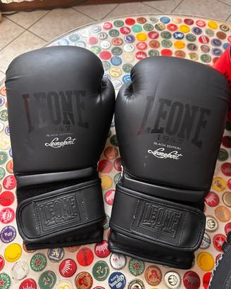 Guantoni box e para colpi