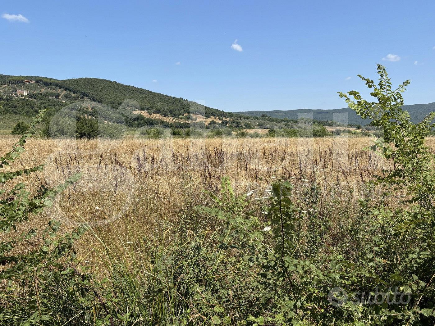 Terreno Agricolo Massa Marittima - Vista 2