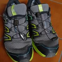 Salomon wings flyte 2