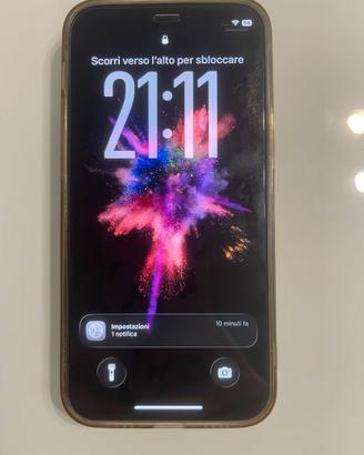 iPhone 12 mini