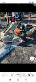Tony kart 125 monomarcia rotax