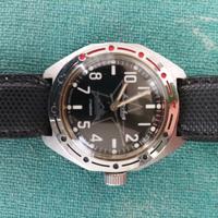 Komandirskie Amphibia