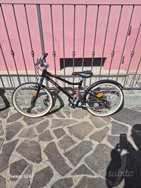 Bicicletta 20 pollici