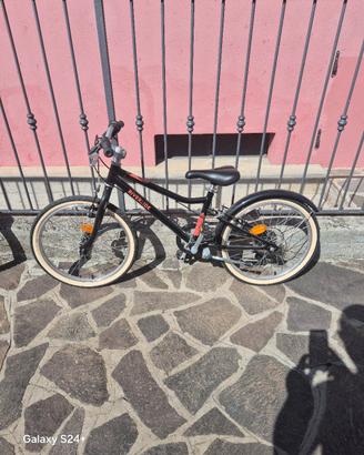 Bicicletta 20 pollici
