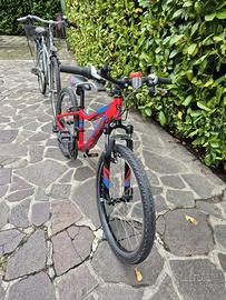 Bicicletta adulto + biciclletta bambino ragazzo