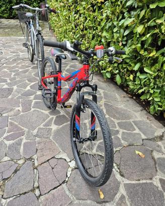 Bicicletta adulto + biciclletta bambino ragazzo