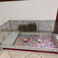 Gabbia roditori e conigli + Videocam TAPO omaggio