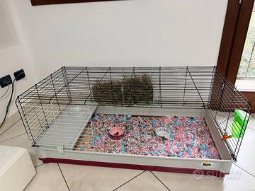 Gabbia roditori e conigli + Videocam TAPO omaggio