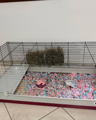 Gabbia roditori e conigli + Videocam TAPO omaggio