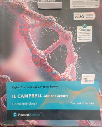 Il Campbell edizione azzurra 