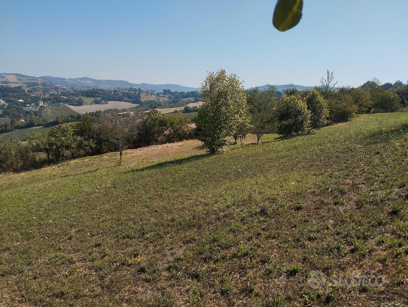 Terreno agricolo panoramico - Vista 4