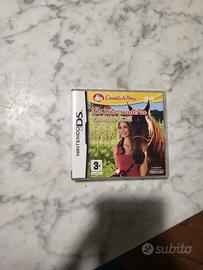 Gioco La mia scuderia per Nintendo DS