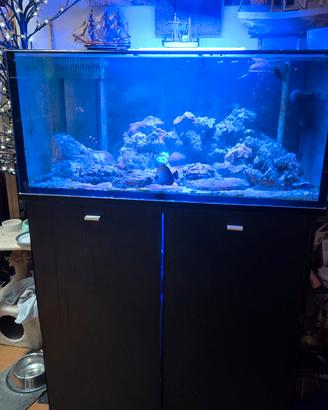 Acquario Marino + vivo + tecnica