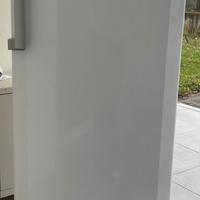 congelatore verticale 