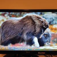 Monitor ASUS VH238 23"