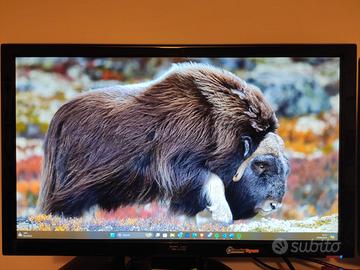 Monitor ASUS VH238 23"