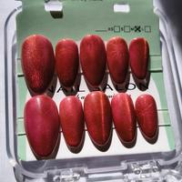 Unghie Press-On Cat Eye Multichrome 