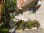 Immagine 22